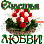 Любви и счастья сегодня желаю