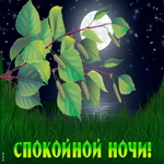 Лучших снов