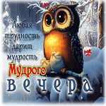 Любая трудность дарит мудрость. Мудрого вечера