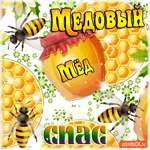 Медовый Спас - Угощаю вас свежим мёдом