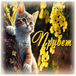 Милая и добрая гиф-открытка Привет