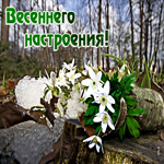 Милая открытка с цветочками Весеннего настроения!