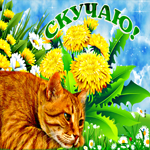 Милая открытка Скучаю! С грустным котом