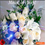 Моим друзьям добра желаю