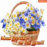 Моим друзьям от всей души корзину добра
