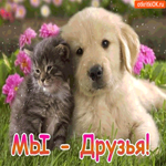 Мы - Друзья, И вместе навсегда