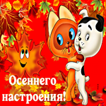 Необычная картинка Осеннего настроения!