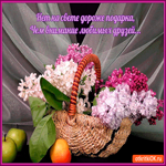 Нет на свете дороже подарка