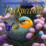 Одна маленькая радость может прогнать сто печалей. Воскресенье