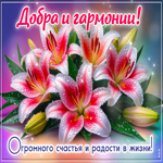 Огромного счастья и радости в жизни! Добра и гармонии