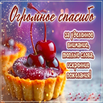 Огромое спасибо за уделенное внимание, теплые слова, искренние пожелания