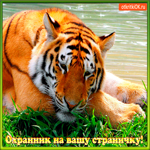 Охранник на вашу страничку