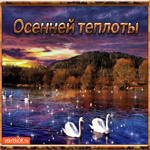 Осенней теплоты