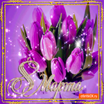 На 8 марта