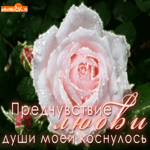 Предчувствие любви