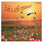 Природа летом