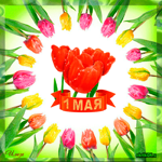 С 1 мая - днем труда