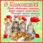 С масленицей, друзья