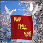 1 мая, мир, друд, май