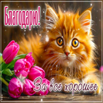 Открытка Благодарю за все хорошее