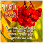 Открытка Чудесной осени! Пусть в душе не будет грустно