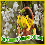 Открытка для настроения с весной