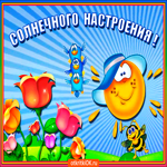 Для солнечного настроения