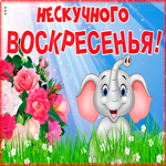 Открытка нескучного воскресенья