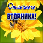 Открытка отличного вторника