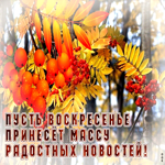 Открытка Пусть воскресенье принесет массу радостных новостей