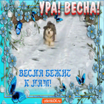 С Первым Днём Весны