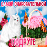 Самой очаровательной подруге