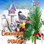 Открытка снежной среды