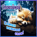 Открытка Спокойной ночи! Самых нежных снов!