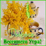 Отличная открытка Доброго весеннего утра! С мимозой