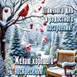 Отличного дня и радостного настроения! Желаю хорошего воскресенья