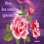 Плейкаст женщине красивые розы