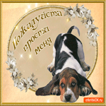 Пожалуйста, прости меня