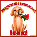 Поздравляю С Днём имени Венера