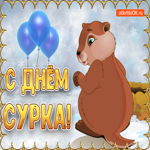 Поздравляю с днём сурка