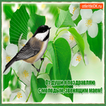 Праздник весны и труда