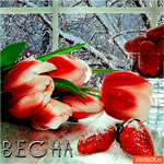 Прекрасная весна расцветает