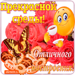 Прекрасной среды