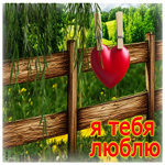 Прелестная открытка Я тебя люблю