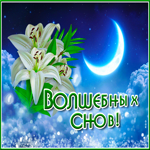Превосходная открытка с цветком Волшебных снов