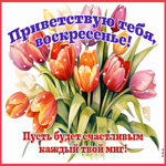 Приветствую тебя, воскресенье! Пусть будет счастливым каждый твой миг