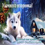 Пушистый снег пускай устелит дорогу счастья и удачи! Удачного вторника
