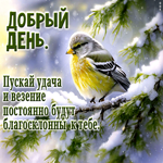 Пускай удача и везение постоянно будут благосклоны к тебе