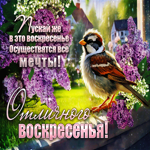 Пускай же в это воскресенье осуществятся все мечты! Отличного воскресенья