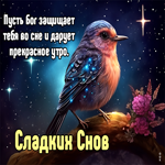 Пусть Бог защищает тебя во сне и дарует прекрасное утро